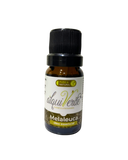 Óleo Essencial de Melaleuca (Tea Tree)