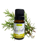 Rosemary Essential Oil