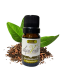 Aceite Esencial de Melaleuca (Tea Tree)
