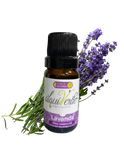 Huile essentielle de lavande
