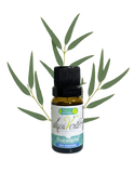 Huile essentielle d'eucalyptus